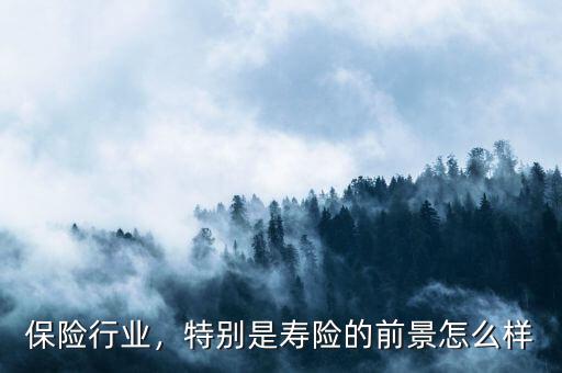 保險行業(yè)，特別是壽險的前景怎么樣