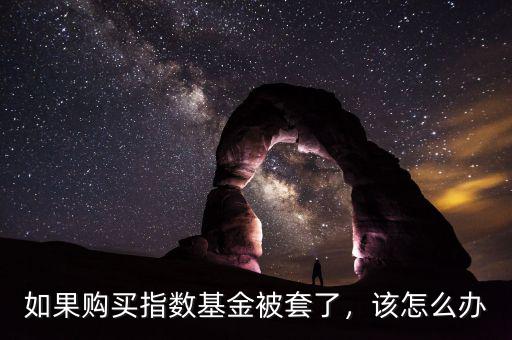 如果購買指數(shù)基金被套了，該怎么辦