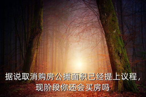 據(jù)說取消購房公攤面積已經(jīng)提上議程，現(xiàn)階段你還會買房嗎