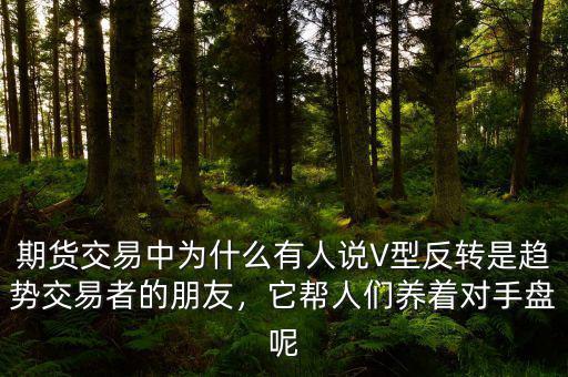 期貨交易中為什么有人說V型反轉(zhuǎn)是趨勢交易者的朋友，它幫人們養(yǎng)著對手盤呢