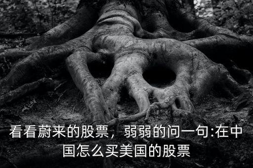 看看蔚來(lái)的股票，弱弱的問(wèn)一句:在中國(guó)怎么買美國(guó)的股票