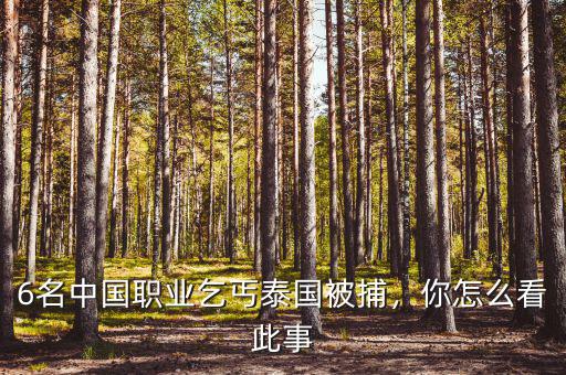 6名中國職業(yè)乞丐泰國被捕，你怎么看此事
