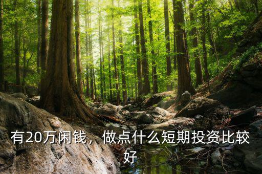 有20萬閑錢，做點什么短期投資比較好