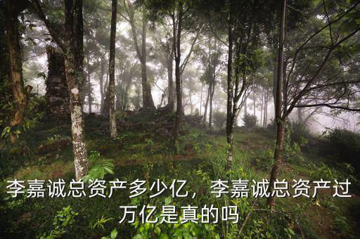 李嘉誠總資產(chǎn)多少億，李嘉誠總資產(chǎn)過萬億是真的嗎