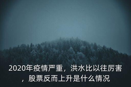 2020年疫情嚴重，洪水比以往厲害，股票反而上升是什么情況