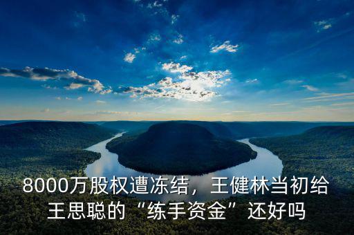 8000萬(wàn)股權(quán)遭凍結(jié)，王健林當(dāng)初給王思聰?shù)摹熬毷仲Y金”還好嗎