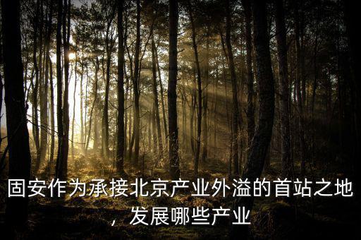 固安作為承接北京產(chǎn)業(yè)外溢的首站之地，發(fā)展哪些產(chǎn)業(yè)