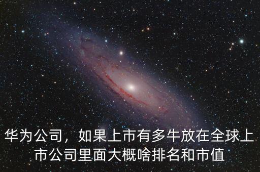 華為公司，如果上市有多牛放在全球上市公司里面大概啥排名和市值