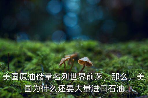 美國原油儲量名列世界前茅，那么，美國為什么還要大量進(jìn)口石油