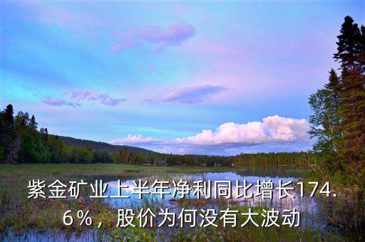 紫金礦業(yè)上半年凈利同比增長174.6％，股價為何沒有大波動