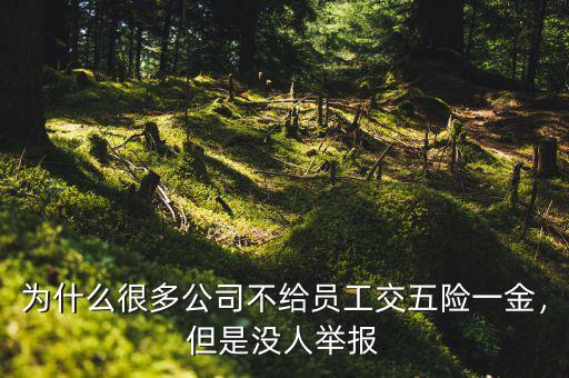 為什么很多公司不給員工交五險(xiǎn)一金，但是沒(méi)人舉報(bào)
