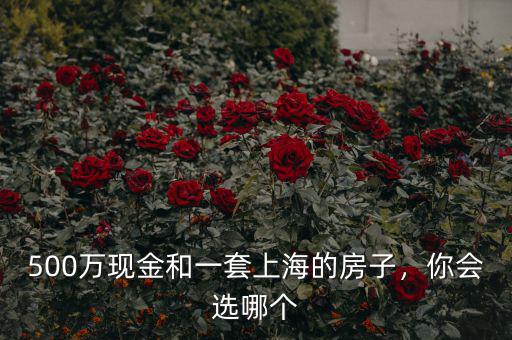 500萬現(xiàn)金和一套上海的房子，你會選哪個