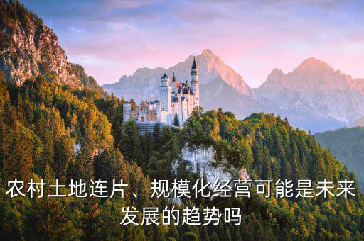 農(nóng)村土地連片、規(guī)模化經(jīng)營可能是未來發(fā)展的趨勢嗎
