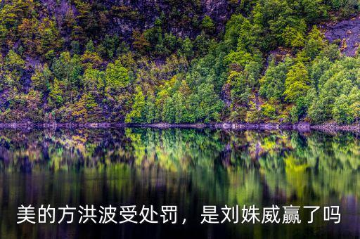 美的方洪波受處罰，是劉姝威贏了嗎