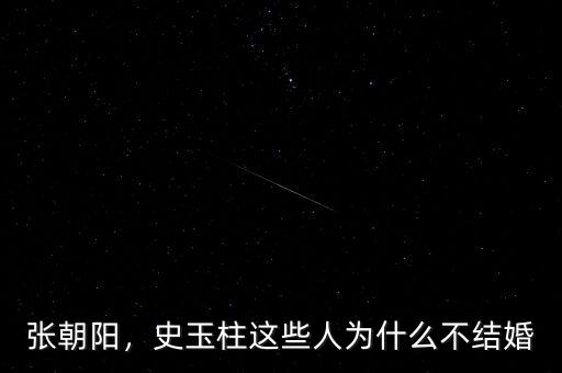 張朝陽，史玉柱這些人為什么不結(jié)婚