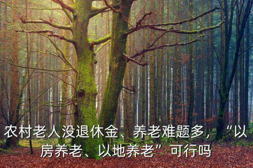 農(nóng)村老人沒退休金、養(yǎng)老難題多，“以房養(yǎng)老、以地養(yǎng)老”可行嗎