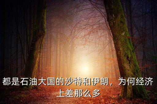 都是石油大國的沙特和伊朗，為何經(jīng)濟上差那么多