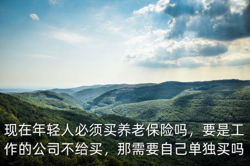 現(xiàn)在年輕人必須買養(yǎng)老保險(xiǎn)嗎，要是工作的公司不給買，那需要自己?jiǎn)为?dú)買嗎