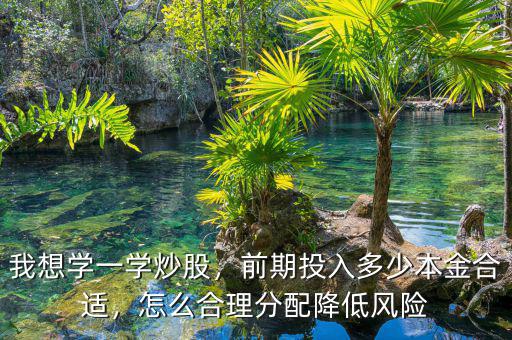 我想學一學炒股，前期投入多少本金合適，怎么合理分配降低風險