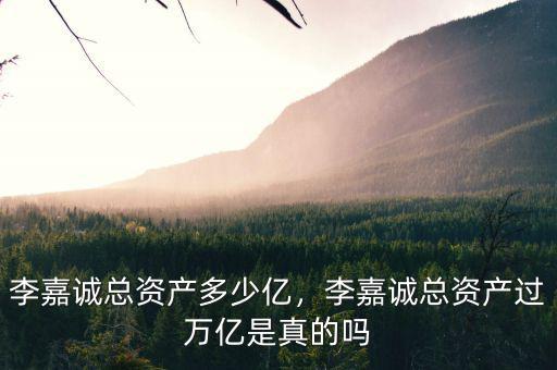 李嘉誠總資產(chǎn)多少億，李嘉誠總資產(chǎn)過萬億是真的嗎