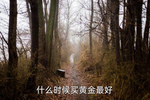 什么時(shí)候買(mǎi)黃金最好