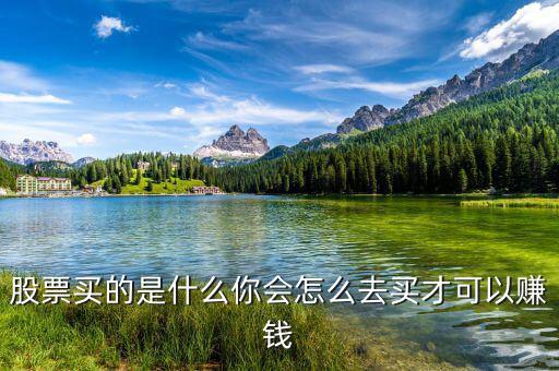 股票買(mǎi)的是什么你會(huì)怎么去買(mǎi)才可以賺錢(qián)