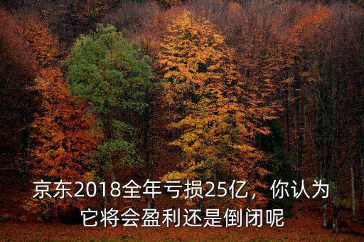 京東2018全年虧損25億，你認(rèn)為它將會(huì)盈利還是倒閉呢
