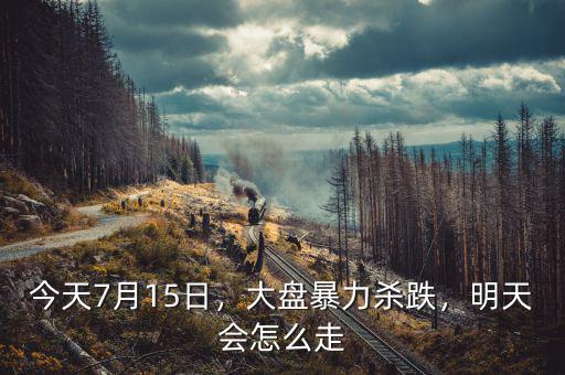 今天7月15日，大盤暴力殺跌，明天會怎么走