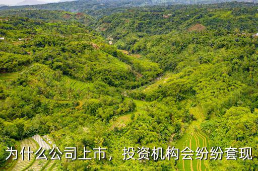 為什么公司上市，投資機(jī)構(gòu)會紛紛套現(xiàn)