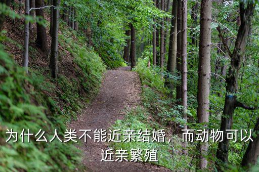 為什么人類不能近親結(jié)婚，而動物可以近親繁殖