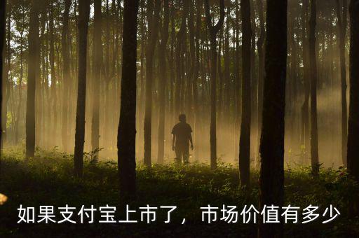 如果支付寶上市了，市場價值有多少