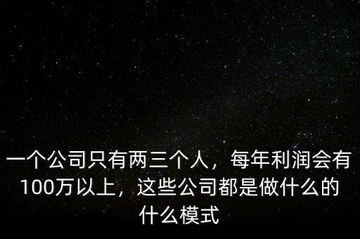 一個公司只有兩三個人，每年利潤會有100萬以上，這些公司都是做什么的什么模式