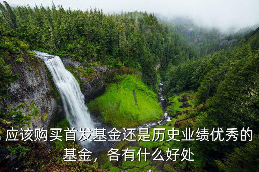 應該購買首發(fā)基金還是歷史業(yè)績優(yōu)秀的基金，各有什么好處