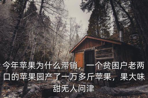 今年蘋果為什么滯銷，一個貧困戶老兩口的蘋果園產(chǎn)了一萬多斤蘋果，果大味甜無人問津