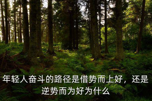 年輕人奮斗的路徑是借勢而上好，還是逆勢而為好為什么