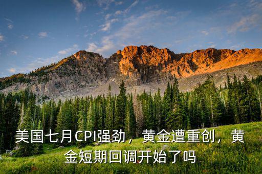 美國七月CPI強(qiáng)勁，黃金遭重創(chuàng)，黃金短期回調(diào)開始了嗎