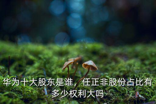 華為十大股東是誰，任正非股份占比有多少權利大嗎