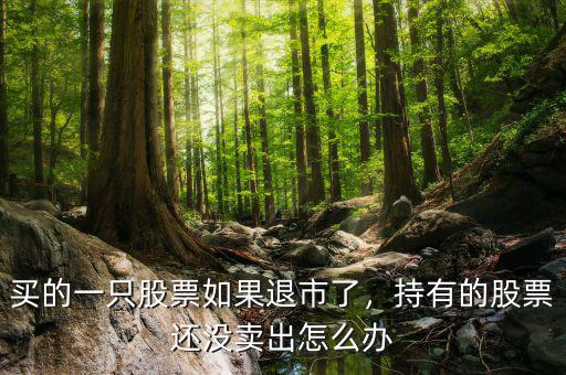 買的一只股票如果退市了，持有的股票還沒賣出怎么辦