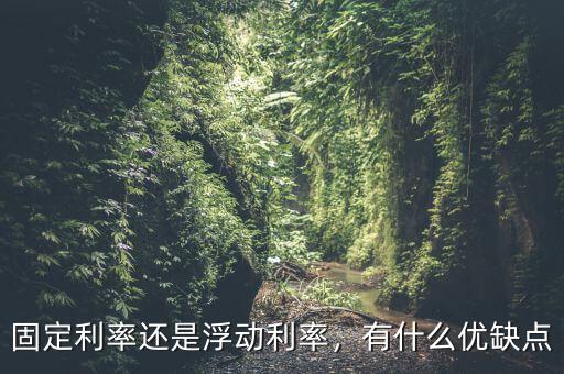 固定利率還是浮動利率，有什么優(yōu)缺點