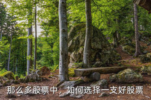 那么多股票中，如何選擇一支好股票