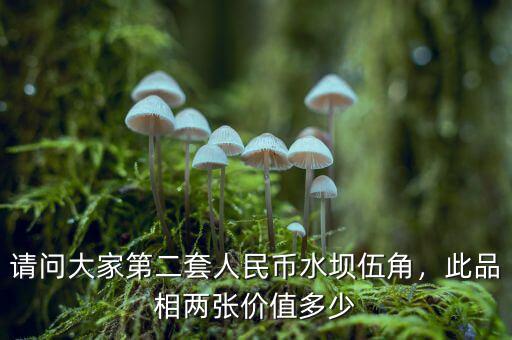 請問大家第二套人民幣水壩伍角，此品相兩張價值多少