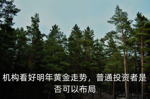 機構(gòu)看好明年黃金走勢，普通投資者是否可以布局