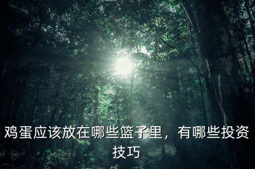 雞蛋應該放在哪些籃子里，有哪些投資技巧