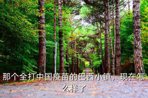 那個(gè)全打中國(guó)疫苗的巴西小鎮(zhèn)，現(xiàn)在怎么樣了