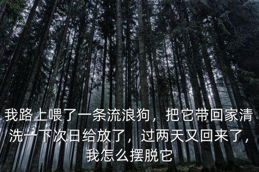 我路上喂了一條流浪狗，把它帶回家清洗一下次日給放了，過兩天又回來了，我怎么擺脫它