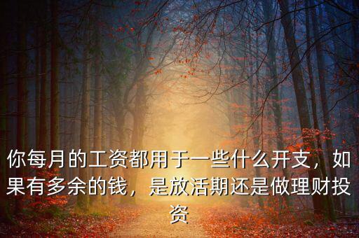你每月的工資都用于一些什么開(kāi)支，如果有多余的錢，是放活期還是做理財(cái)投資