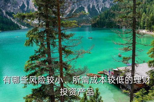 有哪些風(fēng)險較小、所需成本較低的理財投資產(chǎn)品