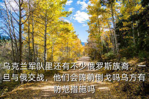 烏克蘭軍隊(duì)里還有不少俄羅斯族裔，一旦與俄交戰(zhàn)，他們會(huì)陣前倒戈嗎烏方有防范措施嗎