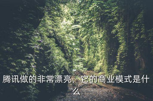 騰訊做的非常漂亮，它的商業(yè)模式是什么