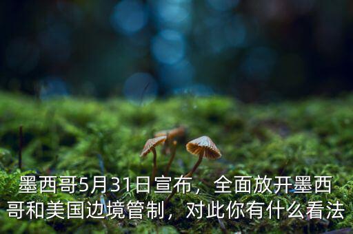 墨西哥5月31日宣布，全面放開墨西哥和美國(guó)邊境管制，對(duì)此你有什么看法